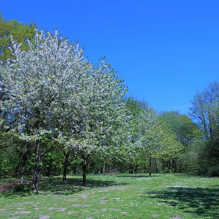 Appartamento Panoramic App A15-7 *