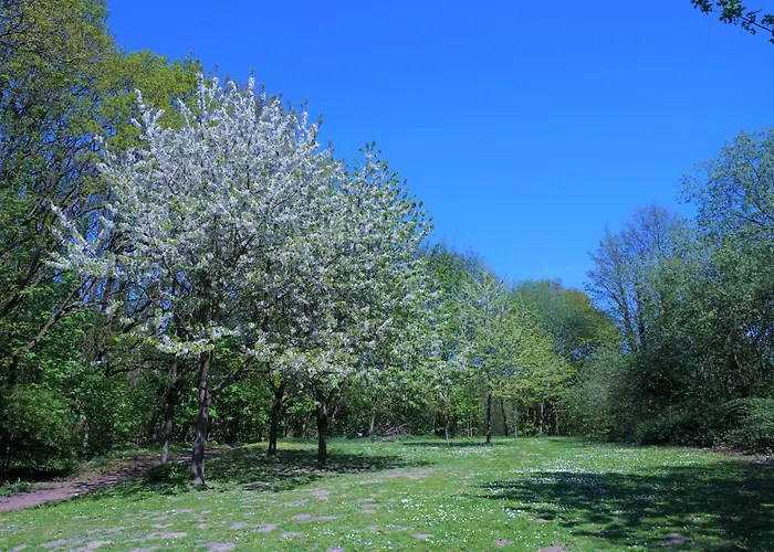 Appartamento Panoramic App A15-7 *